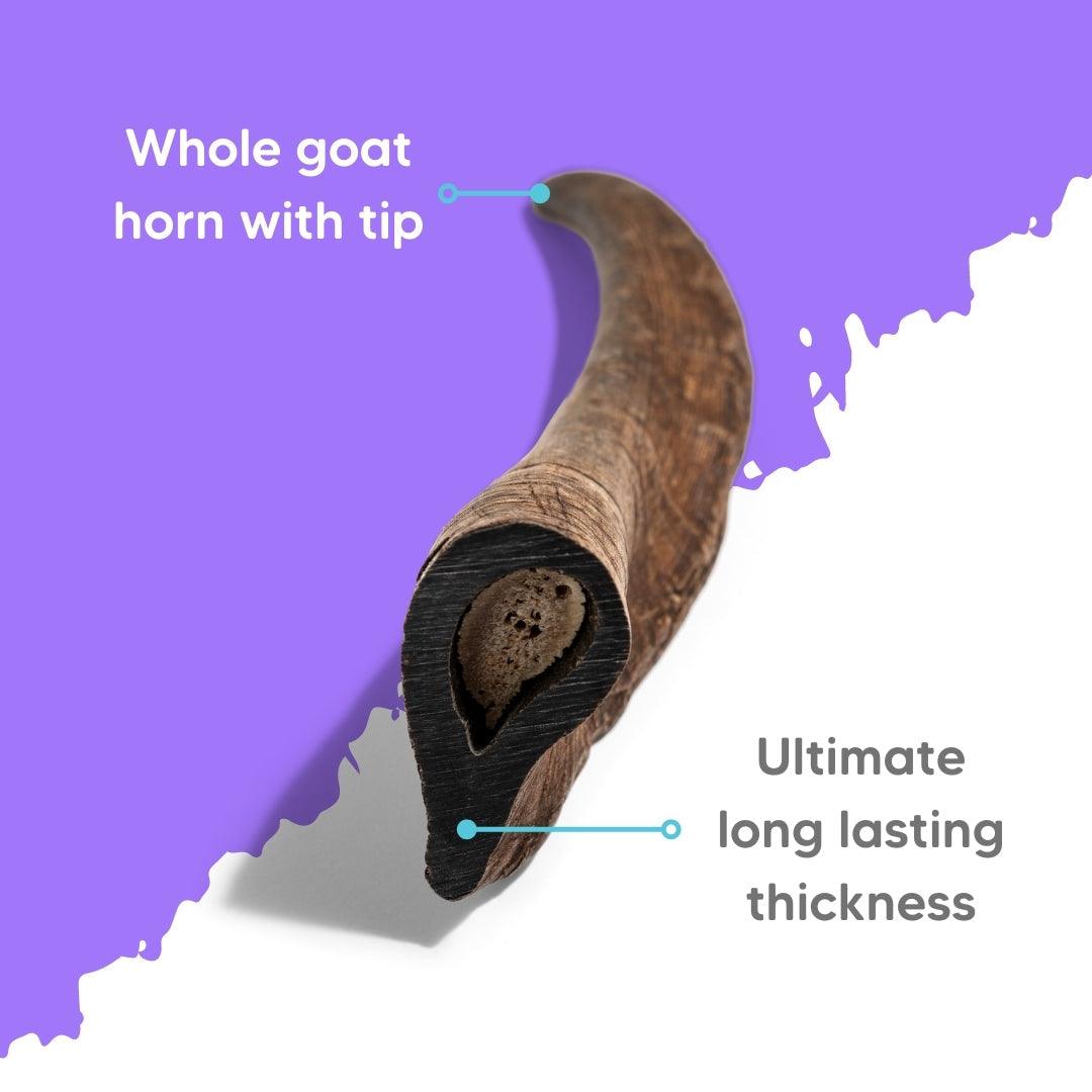 THE PET PROJECT - Natural Whole Goat Horn - DE Pet