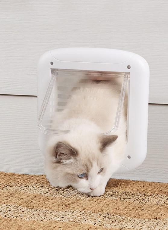PAWISE - Cat Door 4 Way - DE Pet