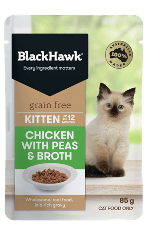 BLACK HAWK - Kitten Chicken 85g - DE Pet