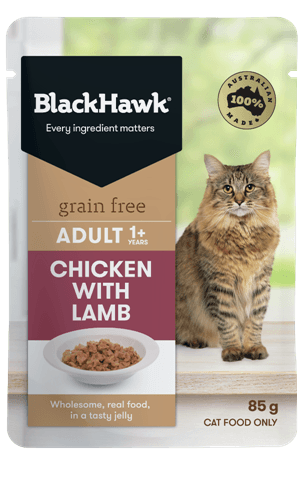 BLACK HAWK - Cat Lamb 85g - DE Pet