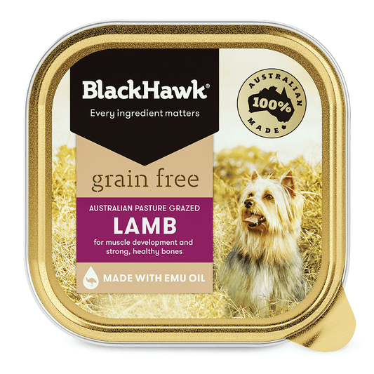 BLACKHAWK Grain Free Lamb - DE Pet