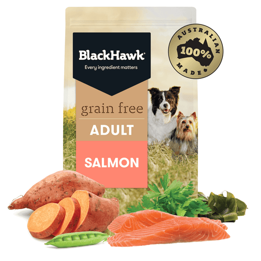 BLACKHAWK Grain Free Salmon - DE Pet