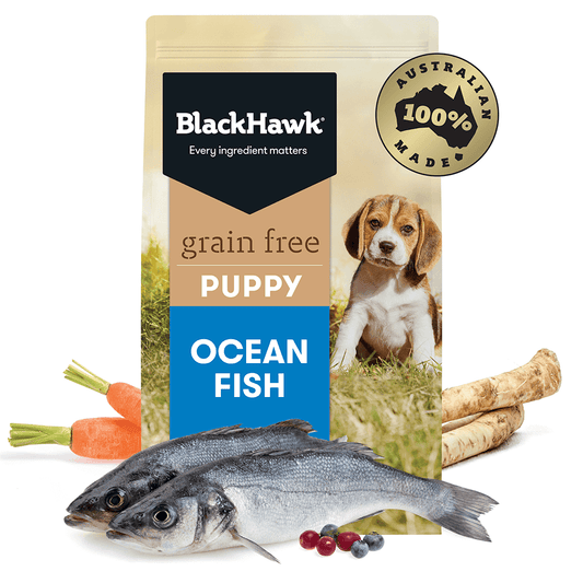 BLACKHAWK Grain Free Puppy Ocean Fish - DE Pet