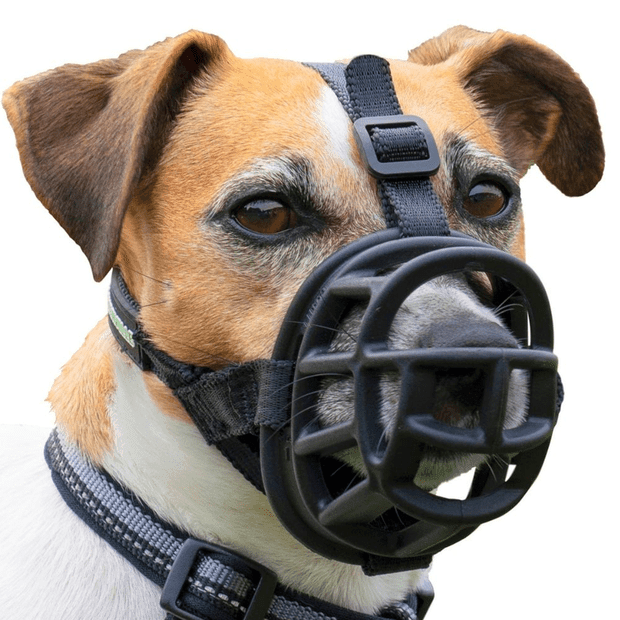 COMPANY OF ANIMALS - Baskerville Ultra Dog Muzzle Black - DE Pet