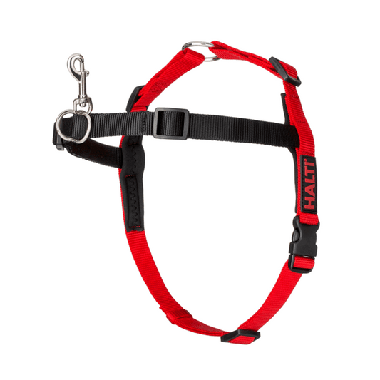 COMPANY OF ANIMALS - Halti Front Control Dog Harness Black Red - DE Pet
