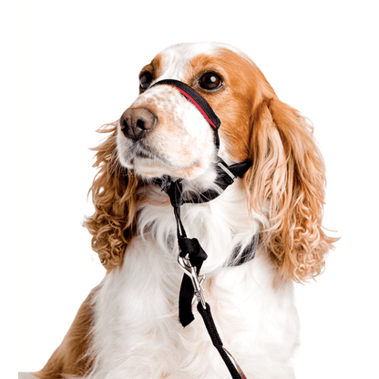 COMPANY OF ANIMALS - Halti Optifit Dog Headcollar Black - DE Pet