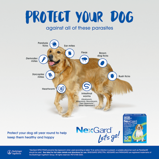 NEXGARD SPECTRA Yellow for Dogs 3.6-7.5kg 6S - DE Pet