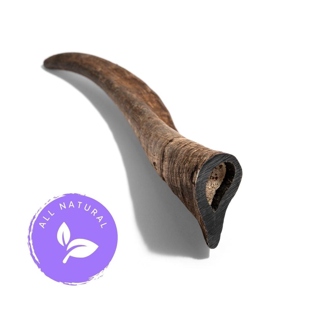 THE PET PROJECT - Natural Whole Goat Horn - DE Pet