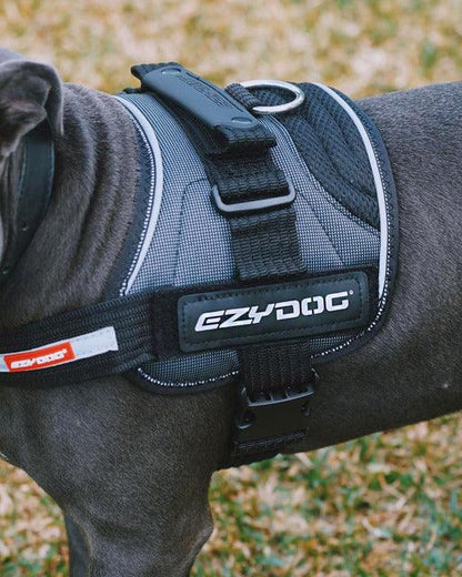 EZYDOG - Convert Harness (Charcoal) - DE Pet