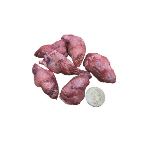 FREEZY PAWS - Freeze Dried Chicken Heart Raw Treats - DE Pet