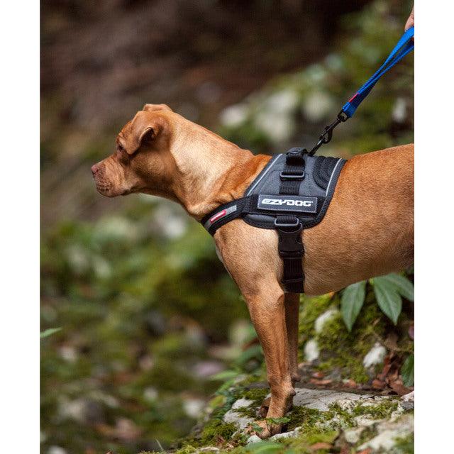 EZYDOG - Convert Harness (Charcoal) - DE Pet