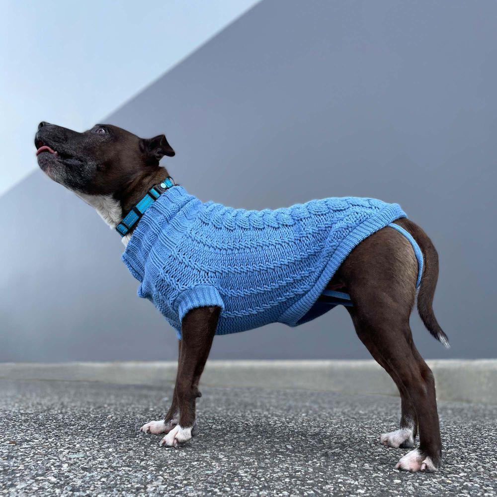 HUSKIMO - Jumper Frenchknit Indigo Blue - DE Pet