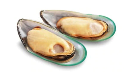 FREEZY PAWS - Freeze Dried NZ Green Lipped Mussels Raw Treats - DE Pet