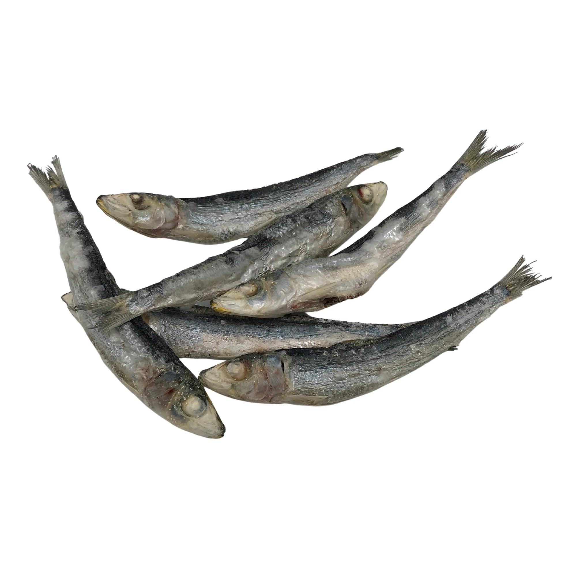 FREEZY PAWS - Freeze Dried Sardine Raw Treats - DE Pet