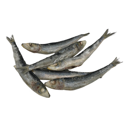 FREEZY PAWS - Freeze Dried Sardine Raw Treats - DE Pet