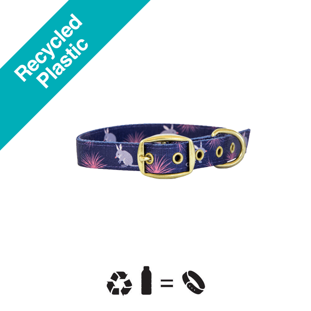 ANIPAL - Billie The Bilby Dog Collar - DE Pet