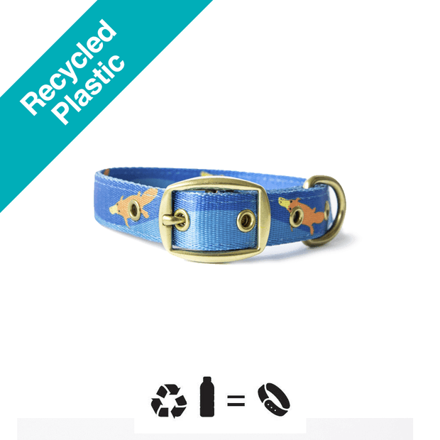 ANIPAL - Piper The Platypus Dog Collar - DE Pet