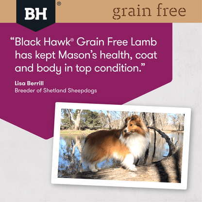 BLACKHAWK - Grain Free Dry Dog Food Adult Lamb - DE Pet