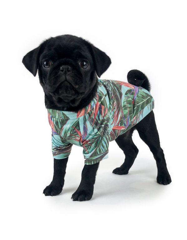 HUSKIMO - T-Shirt - Maui - DE Pet