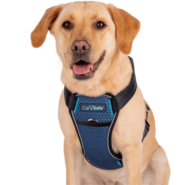 COMPANY OF ANIMALS - Carsafe Crash Tested Dog Harness Blue - DE Pet