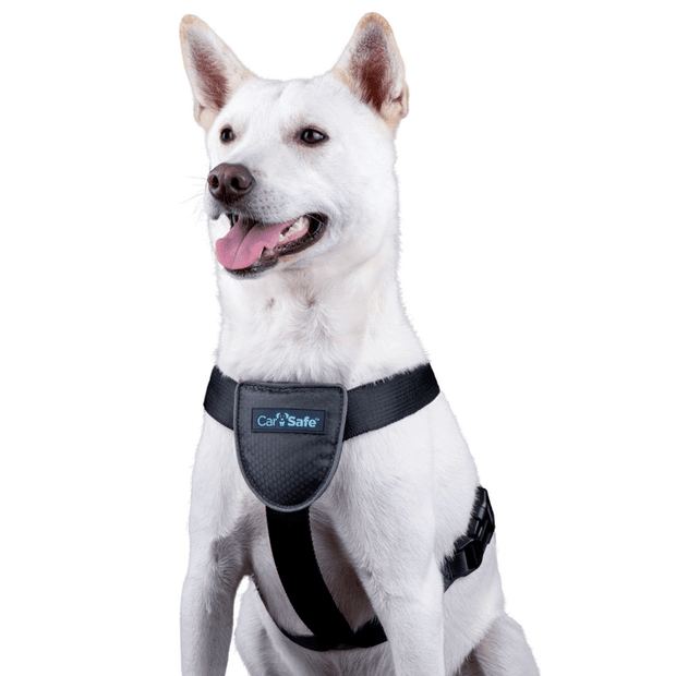 COMPANY OF ANIMALS - Carsafe Dog Travel Harness Black - DE Pet