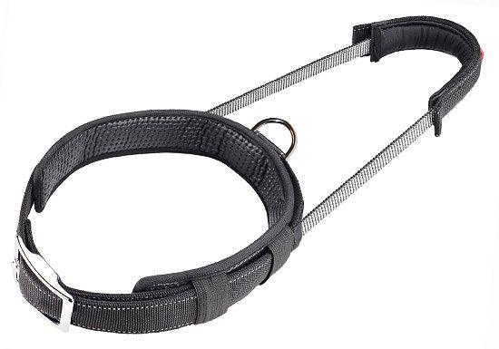 PATENTO - Halsband Sports Collar Black - DE Pet