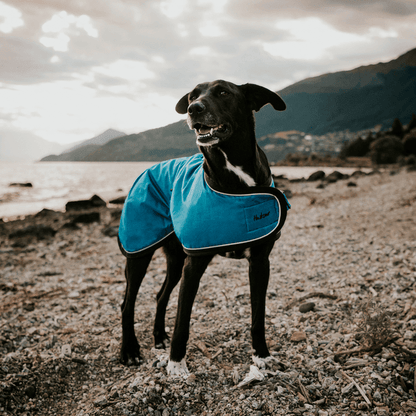 HUSKIMO - Coat Summit Pro Bells Beach - DE Pet