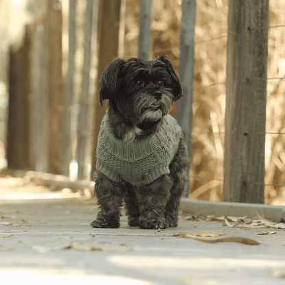 HUSKIMO - Jumper Frenchknit Eucalyptus - DE Pet