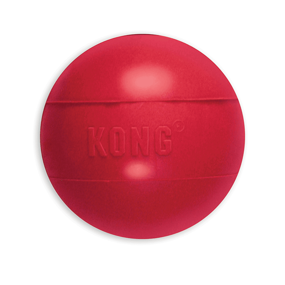 KONG - Ball Extreme Bounce - DE Pet