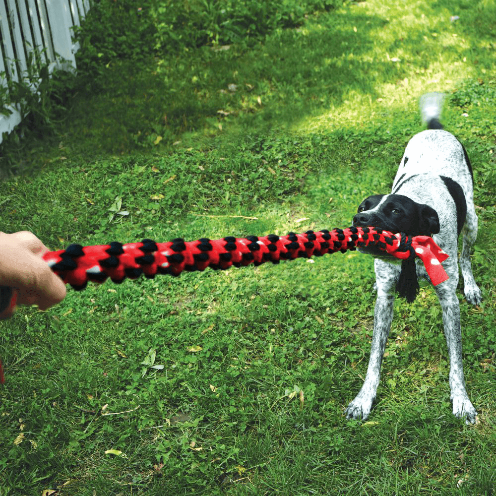 KONG - Signature Rope Dual Knot With Ball - DE Pet