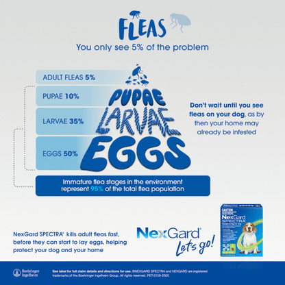NEXGARD SPECTRA Green for Dogs 7.6-15kg 6S - DE Pet