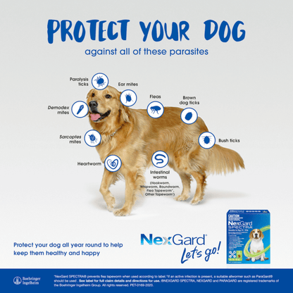 NEXGARD SPECTRA For Dogs 2-3.5KG 3S - DE Pet