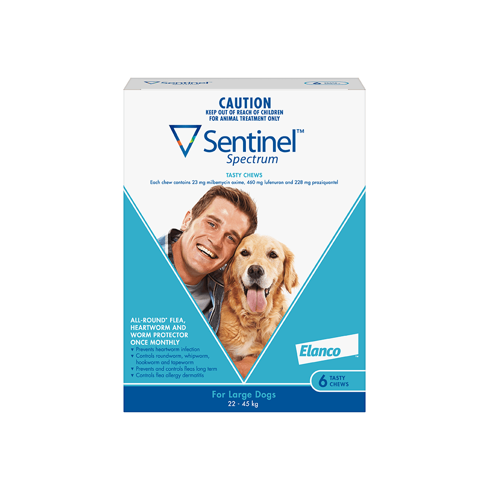 SENTINEL Large Dog 22 - 45KG Blue 3 Chews - DE Pet